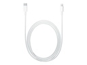 Apple USB-C - 1M - to Lightning Cable