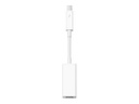 Apple Thunderbolt to FireWire Adapter