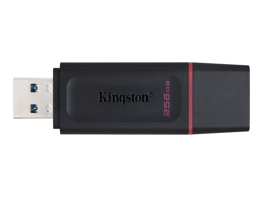 Kingston Clé USB 256