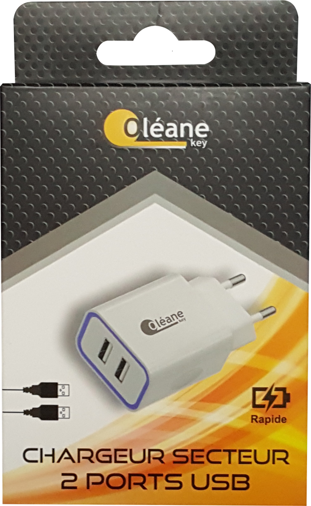 OLEANE Key Chargeur USB 2 ports 3.1A